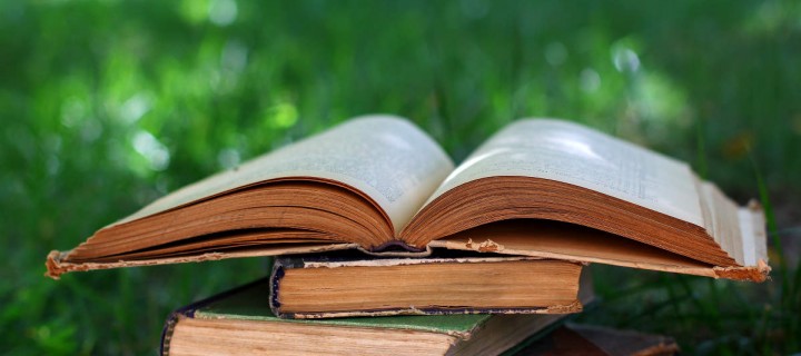 SSS式多読という新たな英語勉強法 簡単すぎると感じるレベルで楽しく読める本をたくさん読む