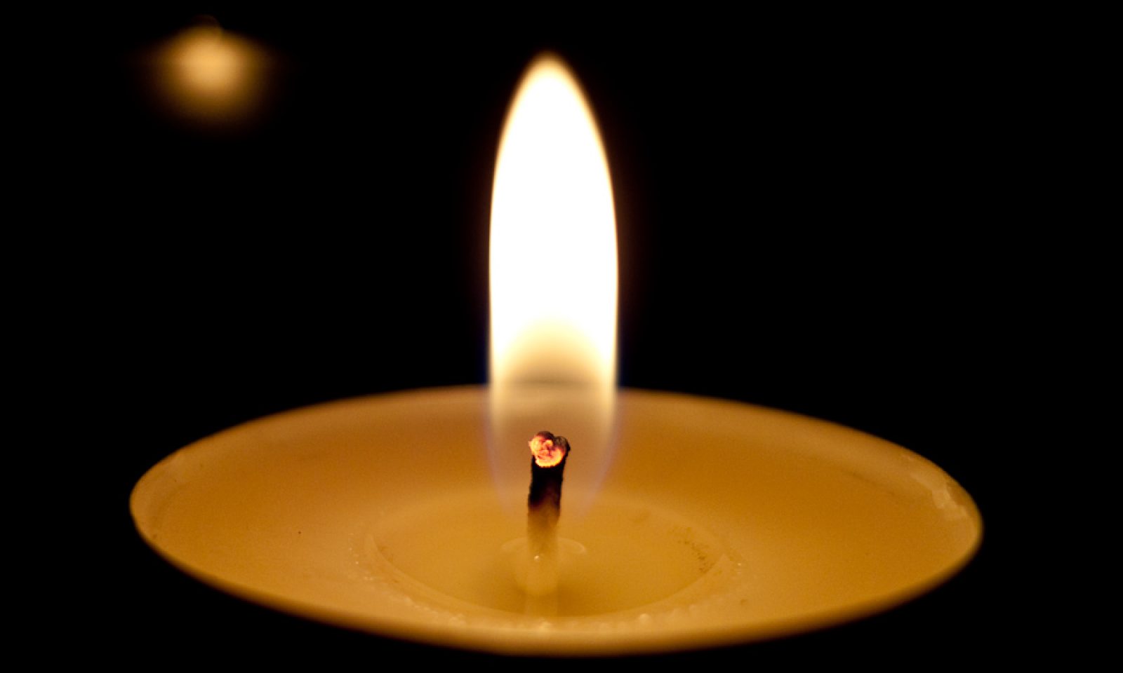 英語脳メルマガ 第号 Thousands Of Candles Can Be Lighted From A Single Candle の意味は 英語脳ネット 英語脳メルマガ 第号 Thousands Of Candles Can Be Lighted From A Single Candle の意味は 英語脳ネット