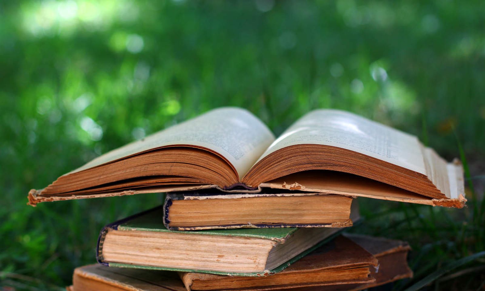 Sss式多読という新たな英語勉強法 簡単すぎると感じるレベルで楽しく読める本をたくさん読む 英語脳ネット Sss式多読という新たな英語勉強法 簡単すぎると感じるレベルで楽しく読める本をたくさん読む 英語脳ネット