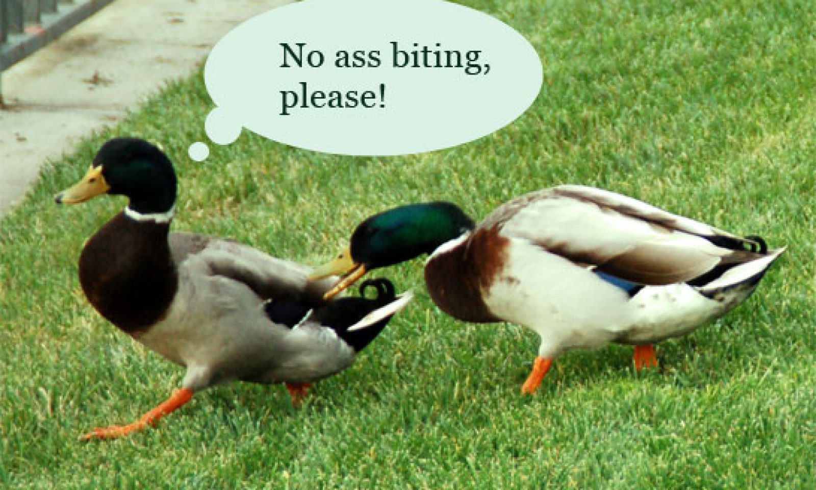 英語脳メルマガ 第号 Today I Had Dinner With My Boyfriend S Family His 3 Year Old Nephew Came Running For A Hug の意味は 英語脳ネット