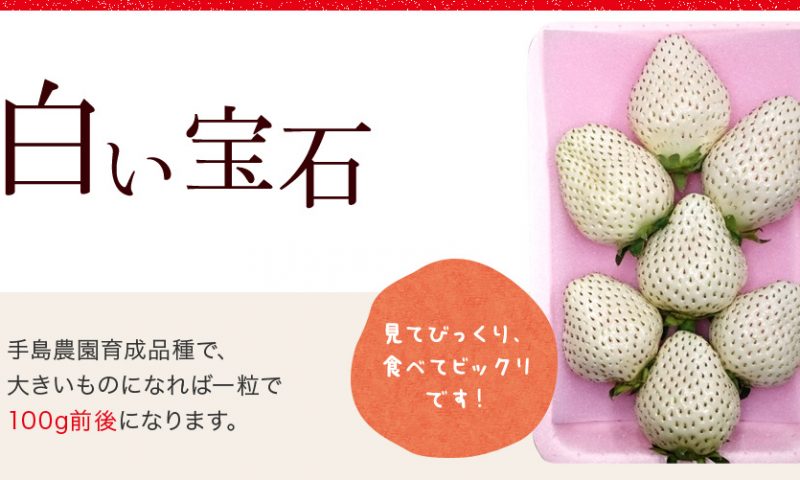 英語脳メルマガ 第02983号 the flavor is something deep something