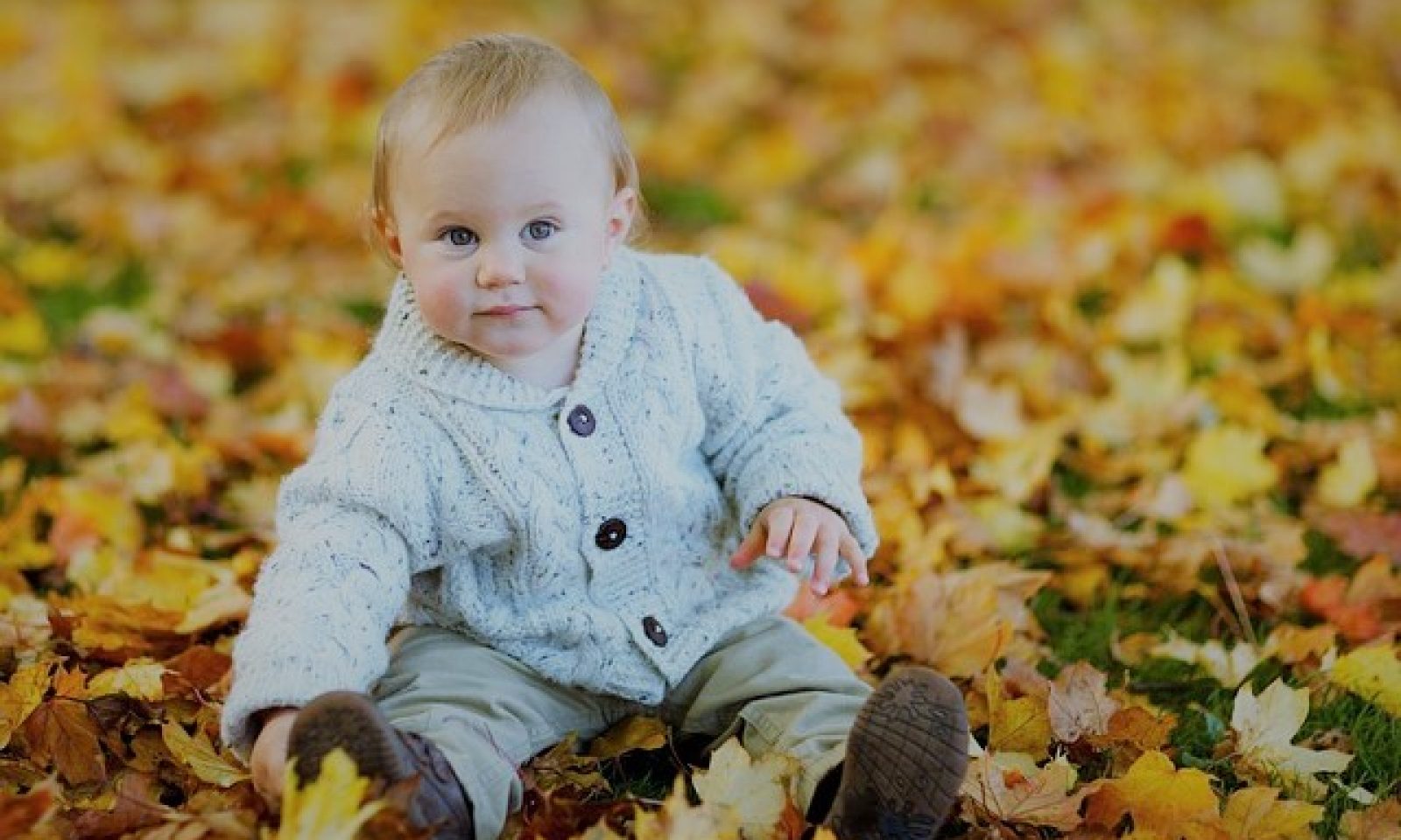 英語脳メルマガ 第号 Today My 1 Year Old Son Walked Up To Me With A Disgusted Look On His Face の意味は 英語脳ネット