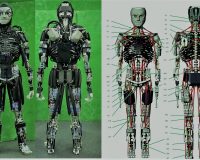 英語脳メルマガ 第03181号 A team of Japanese researchers has built two humanoid robots that can do pushups, situps の意味は？