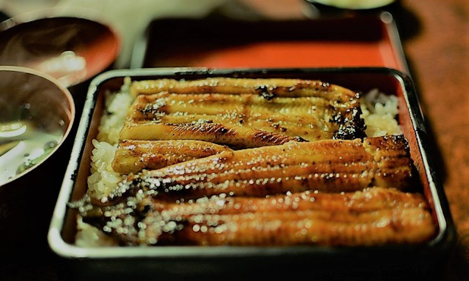 英語脳メルマガ 第号 Unagi Is Expensive To Produce And Costly To Eat の意味は 英語 脳ネット 英語脳メルマガ 第号 Unagi Is Expensive To Produce And Costly To Eat の意味は 英語 脳ネット
