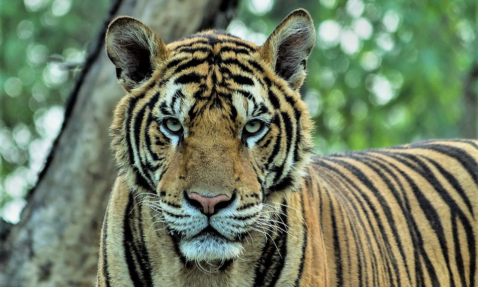 英語脳メルマガ 第号 Of The Three Keepers All In Their s の意味は 英語脳ネット