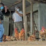 poultry farmer