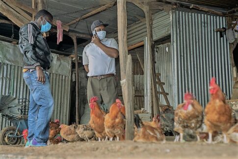 poultry farmer